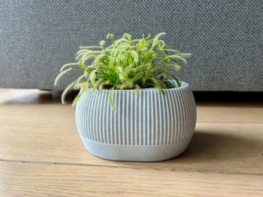 The Ribbed Reservoir Planter | Self-Watering Hydro-Pot - Thumbnail 2