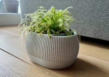 The Ribbed Reservoir Planter | Self-Watering Hydro-Pot - Thumbnail 3